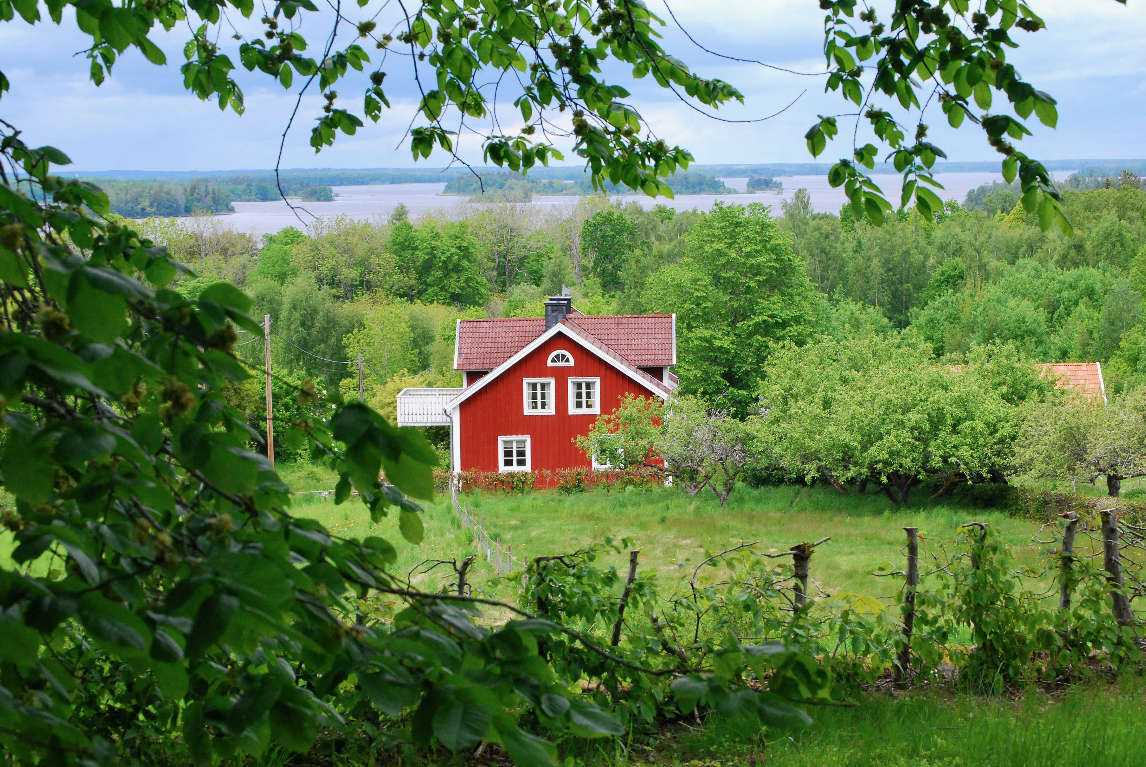 DSC_0043