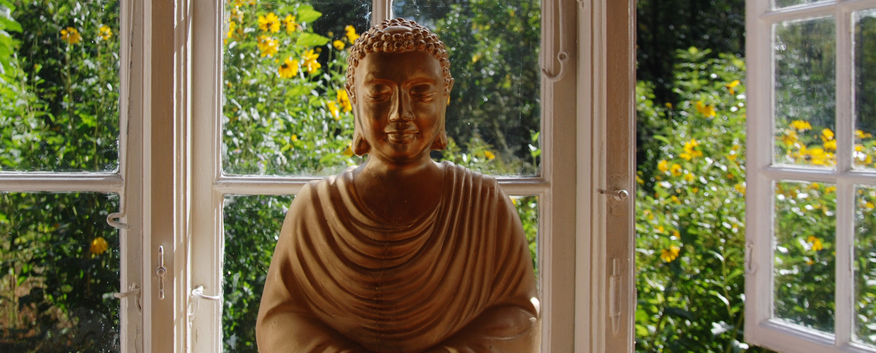 Meditation & Holistic Medicine Weeks